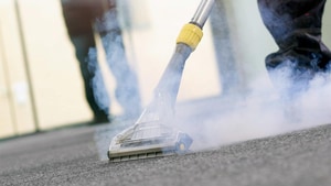 Steam Cleaning & Spray Sanitizing