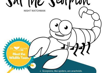 95489850_10157795381956677_2146949302528770048_o_1__1588753726