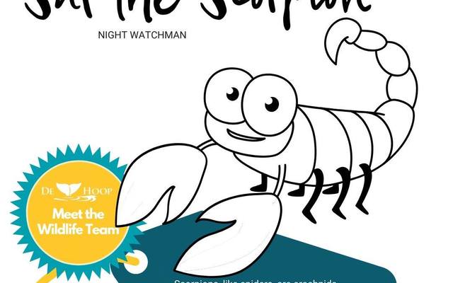 95489850_10157795381956677_2146949302528770048_o_1__1588753726