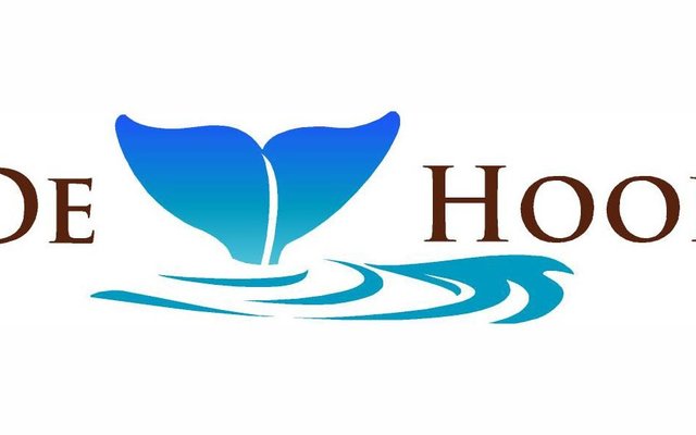 de_hoop_new_logo_1588162715_1588753664