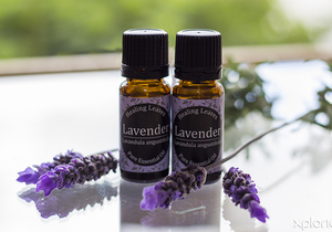 Open for Essential Oils and Diffusers