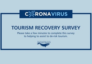 Tourism Recovery Survey