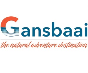 Tourism Recovery Survey