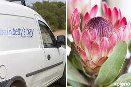 Operating During Lockdown