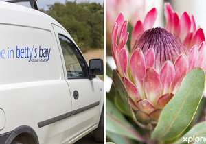 Operating During Lockdown