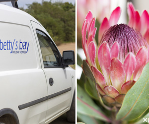 Operating During Lockdown