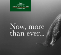 THINKING OF SELLING YOUR HOME DURING THESE UNPRECEDENTED TIMES?