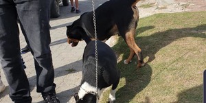 97984355_653060708627048_899618262067707904_n_1590399364