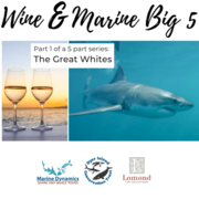 Marine Big 5 & Wine Pairing - Thursday, 28 May, 18:00
