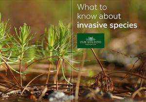 How Alien Plant Species Could Invade Your Sale