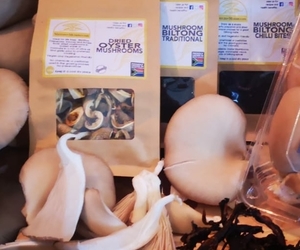 Meulen Mushrooms - R25.00 (Per Packet)