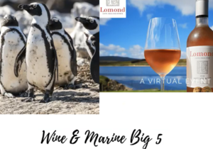 Marine Big 5 & Wine Pairing - Thursday, 04 June, 18:00