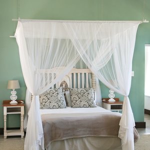 51136504_2645848598775608_3703349303461281792_o_1591863473