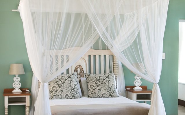 51136504_2645848598775608_3703349303461281792_o_1591863473