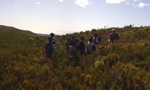 Dibanisa Environmental Education Programme