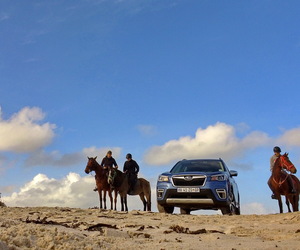 Pearly Beach's Sea Horses