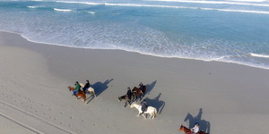 Gansbaai & Pearly Beach Horse Trails