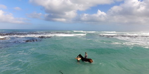 Gansbaai & Pearly Beach Horse Trails