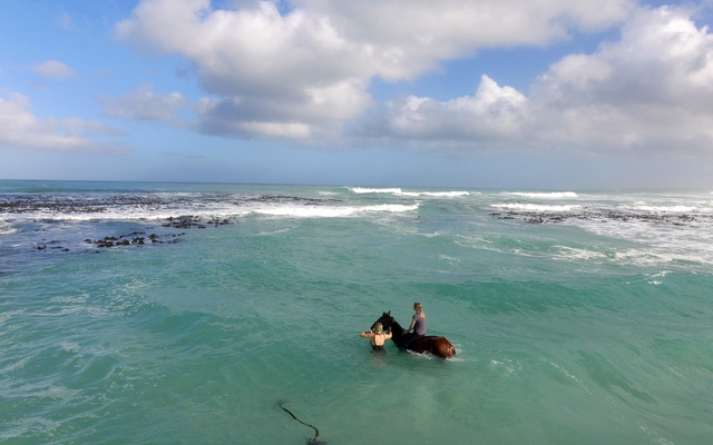 Gansbaai & Pearly Beach Horse Trails