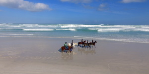 Gansbaai & Pearly Beach Horse Trails