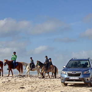Gansbaai & Pearly Beach Horse Trails