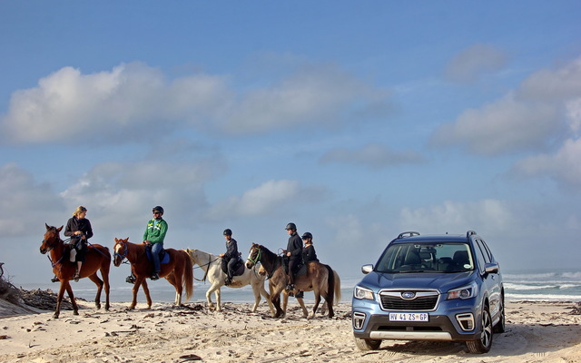 Gansbaai & Pearly Beach Horse Trails