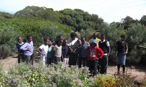 Dibanisa Environmental Education Programme, Growing the Future