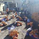 Villiersdorp -  Ecclesia Centre - Food Parcels