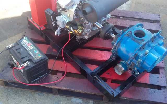 WhatsApp_Image_2020_06_23_at_20.39.47_1592981049