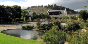 seeff_backyard_1593002676