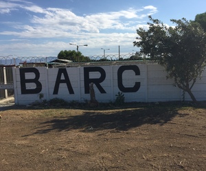 BARC Animal Welfare Needs Your Help!