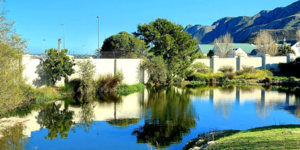 chas_everitt_backyard_1593078784