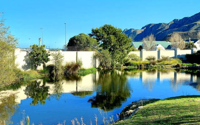 chas_everitt_backyard_1593078784