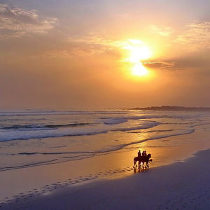 Gansbaai & Pearly Beach Horse Trails