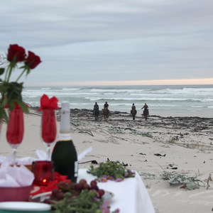 Gansbaai & Pearly Beach Horse Trails