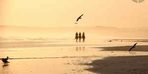 Gansbaai & Pearly Beach Horse Trails