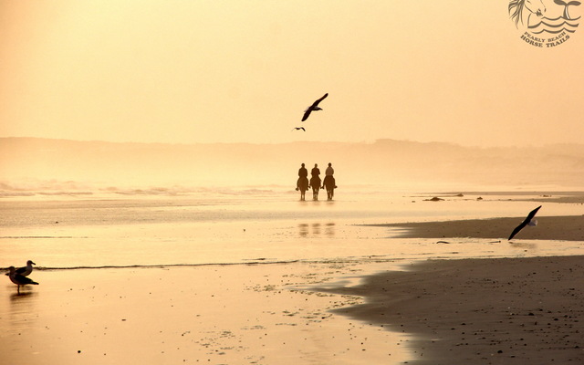 Gansbaai & Pearly Beach Horse Trails
