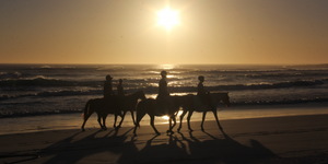 Gansbaai & Pearly Beach Horse Trails