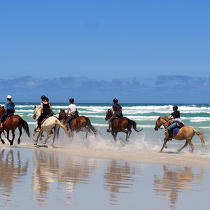 Gansbaai & Pearly Beach Horse Trails