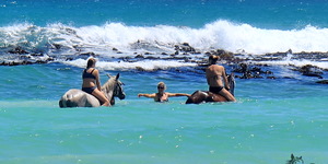 Gansbaai & Pearly Beach Horse Trails