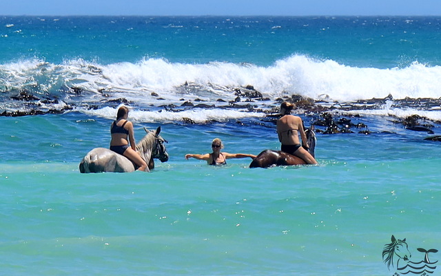 Gansbaai & Pearly Beach Horse Trails