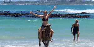 Gansbaai & Pearly Beach Horse Trails