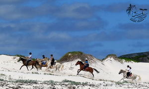 Our latest reviews...