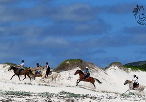 Our latest reviews...