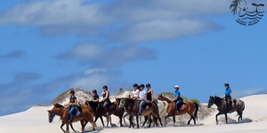 Gansbaai & Pearly Beach Horse Trails