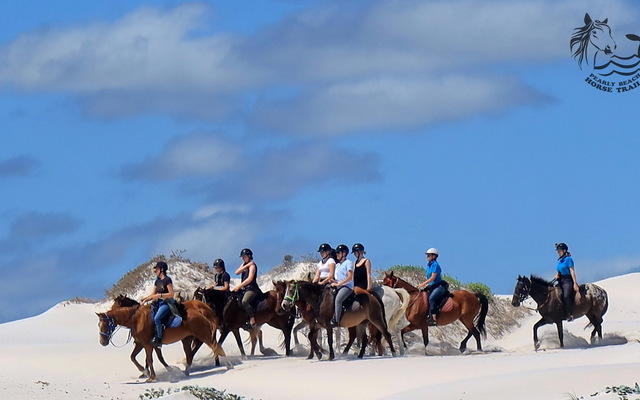 Gansbaai & Pearly Beach Horse Trails