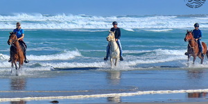 Gansbaai & Pearly Beach Horse Trails
