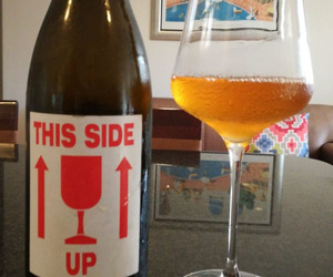 Wine and Co - the SKN 'n BNZ Steen...