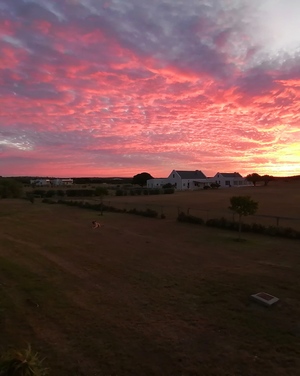 IMG_20200327_184946_1595255932