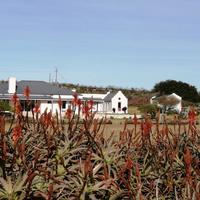 Arniston -  Inhoek Farm